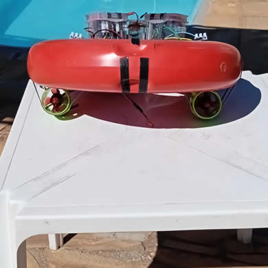 Intelligent detection of the autonomous life-saving buoy